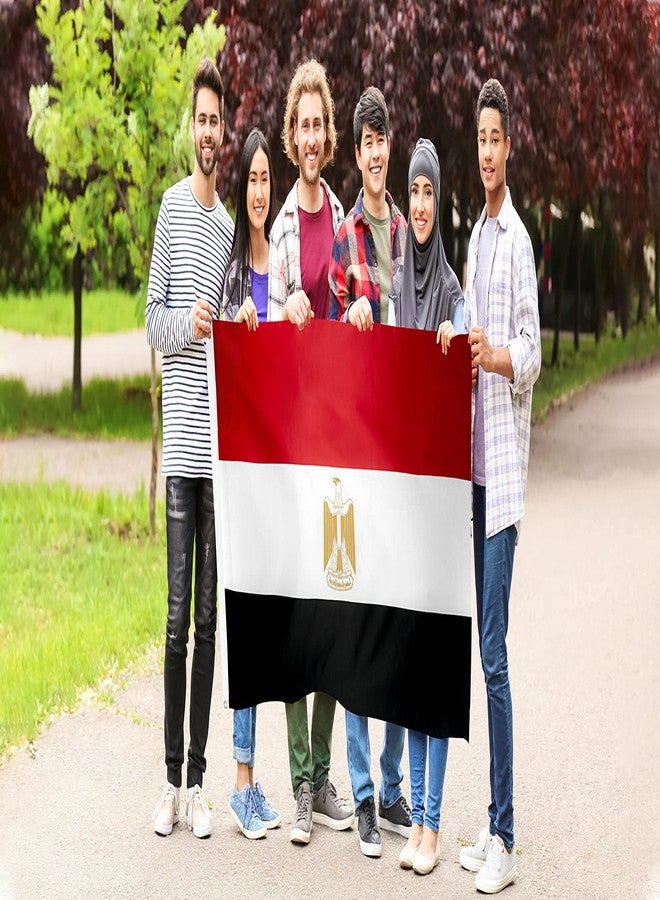 DANF FLAG DANF Egypt Flag 3x5 Foot Polyester Egyptian National Flags Polyester with Brass Grommets 3 X 5 Ft - Image 3